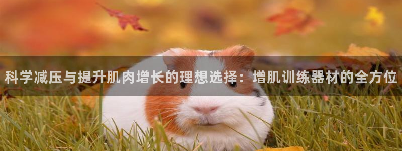 意昂体育4注册：科学减压与提升肌肉增长的理想选择：增肌训练器