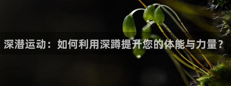意昂4科技：深潜运动：如何利用深蹲提升您的体能与力量？