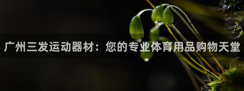 意昂体育4：广州三发运动器材：您的专业体育用品购物天堂