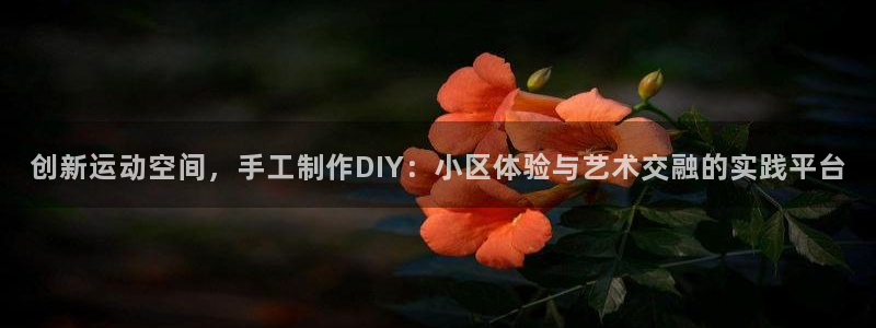 意昂体育4平台注册要钱吗：创新运动空间，手工制作DI