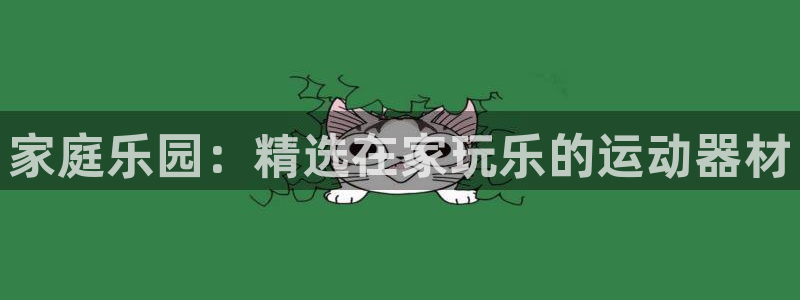 意昂4神州：家庭乐园：精选在家玩乐的运动器材
