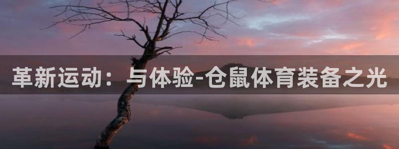 意昂体育4招商电话号码是多少号：革新运动：与体验-仓鼠体育装