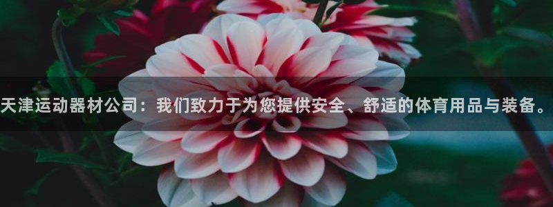 意昂4集团官网首页：天津运动器材公司：我们致力于为您提供安全