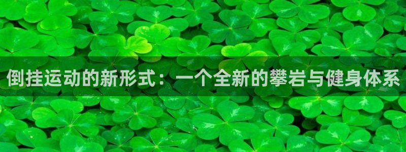 意昂4娱乐平台：倒挂运动的新形式：一个全新的攀岩与健身体系