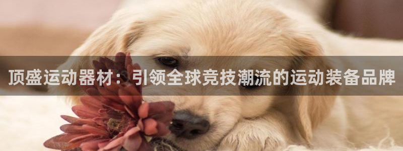 意昂体育4招商电话