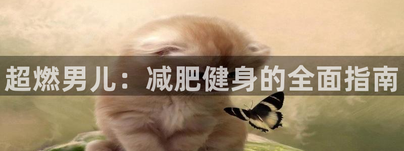 意昂4娱乐首页网站大全：超燃男儿：减肥健身的全面指南