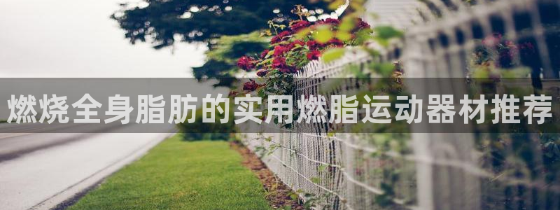 意昂体育4开户：燃烧全身脂肪的实用燃脂运动器材推荐