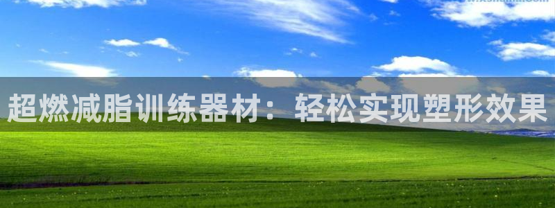 意昂4神州：超燃减脂训练器材：轻松实现塑形效果