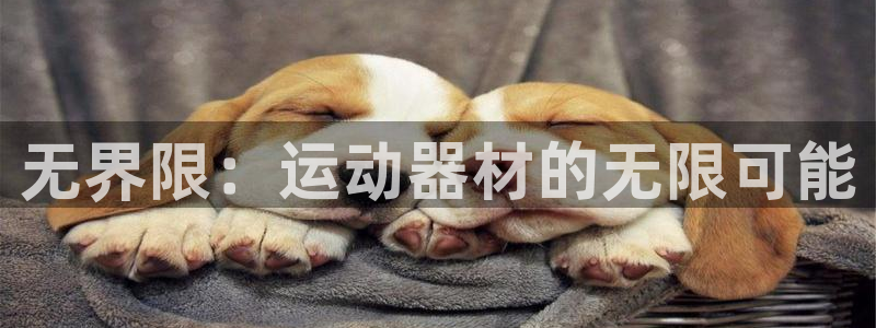 意昂体育4平台注册：无界限：运动器材的无限可能