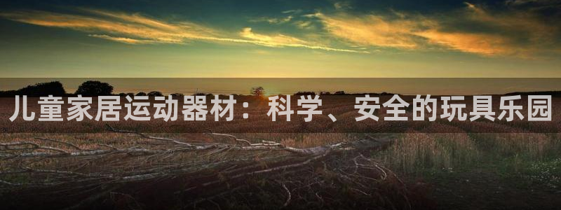 意昂4集团官网网址：儿童家居运动器材：科学、安全的玩