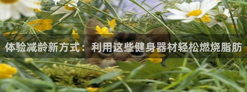 意昂体育4招商：体验减龄新方式：利用这些健身器材轻松