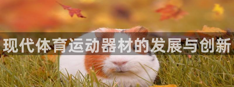 意昂体育4注册：现代体育运动器材的发展与创新