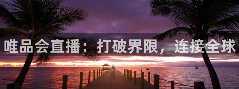 黑白直播体育app下载：唯品会直播：打破界限，连接全球