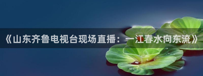 黑白nba直播：《山东齐鲁电视台现场直播：一江春水向东流》