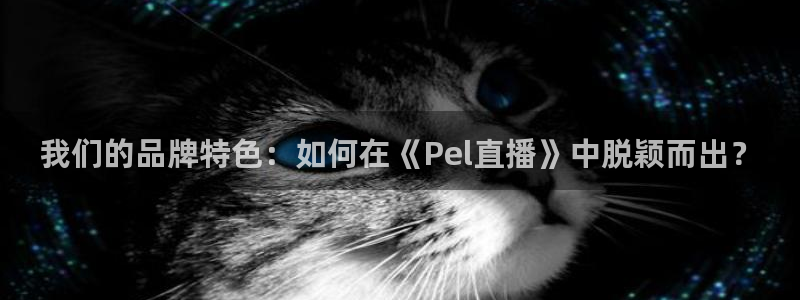 黑白体育直播赛事：我们的品牌特色：如何在《Pel直播》中脱颖而出？