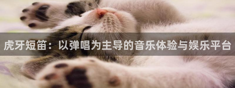 黑白体育足球篮球直播：虎牙短笛：以弹唱为主导的音乐体验与娱乐平台