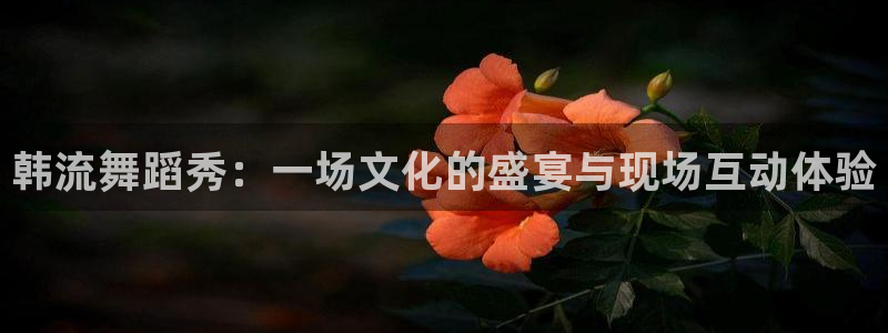 黑白体育在线直播官网：韩流舞蹈秀：一场文化的盛宴与现场互动体验