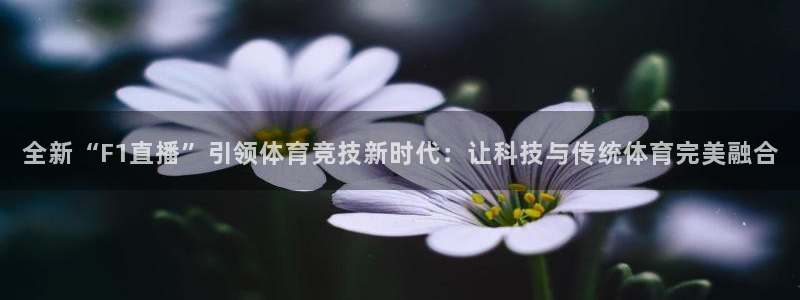黑白直播免费体育直播高清：全新“F1直播”引领体育竞技新时代：让科技与传统体育完美融合
