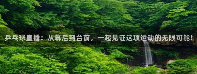 nba黑白体育免费直播：乒乓球直播：从幕后到台前，一起见证这项运动的无限可能!