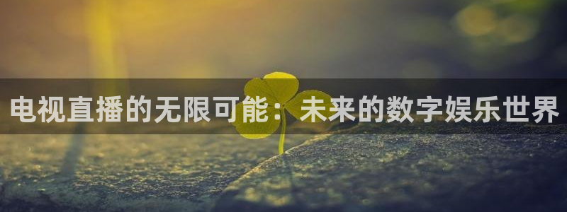 黑白直播体育在线免费观看：电视直播的无限可能：未来的数字娱乐世界