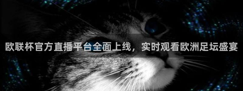 黑白直播体育免费版下载：欧联杯官方直播平台全面上线，实时观看欧洲足坛盛宴