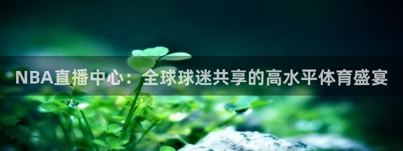 jrs黑白体育直播官网：NBA直播中心：全球球迷共享的高水平体育盛宴