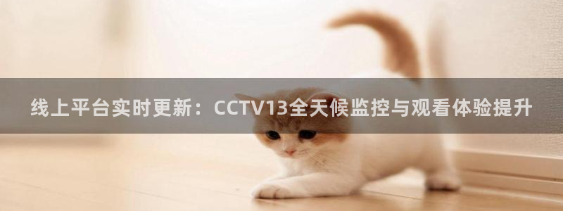 黑白直播体育直播：线上平台实时更新：CCTV13全天候监控与观看体验提升