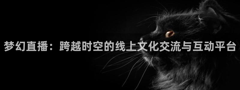 黑白篮球直播免费观看：梦幻直播：跨越时空的线上文化交流与互动平台