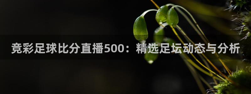 黑白直播看球：竞彩足球比分直播500：精选足坛动态与分析