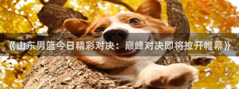 黑白体育在线直播：《山东男篮今日精彩对决：巅峰对决即将拉开帷幕》