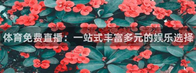 nba黑白直播免费：体育免费直播：一站式丰富多元的娱乐选择