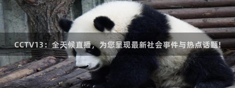 黑白体育在线直播免费：CCTV13：全天候直播，为您呈现最新社会事件与热点话题!