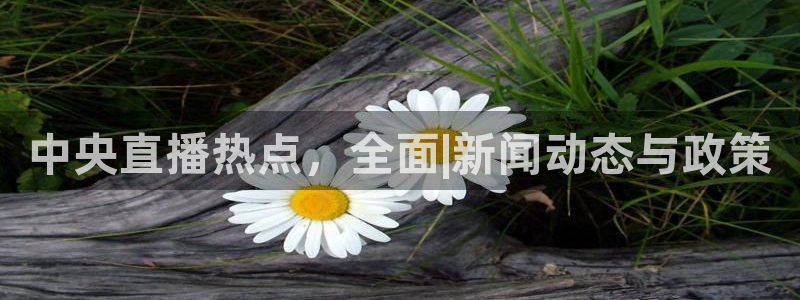 黑白足球比赛直播：中央直播热点，全面|新闻动态与政策