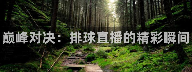 黑白足球直播在线观看：巅峰对决：排球直播的精彩瞬间